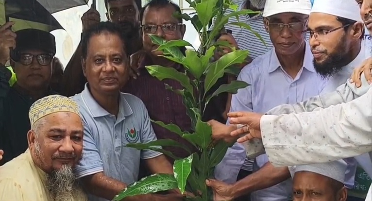 কলাপাড়ায় ওলামা দলের বৃক্ষরোপণ কর্মসূচির উদ্বোধন করলেন এমপি এবিএম মোশাররফ হোসেন