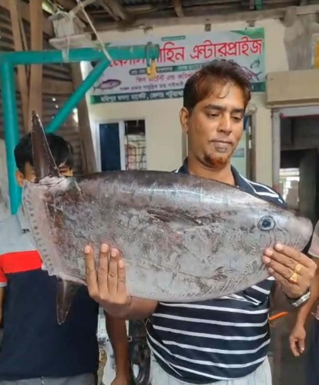 কুয়াকাটায় জেলের জালে বিরল স্লেন্ডার সানফিশ, দেখতে মানুষের ভিড়