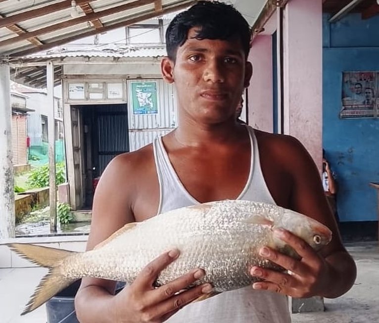 মনপুরায় মেঘনায় জেলের জালে ধরা পড়া ২ কেজি ওজনের ইলিশ।