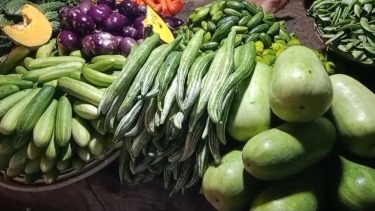 বরিশালে সবজির দাম বেড়েছে, কমেছে ডিমের দাম