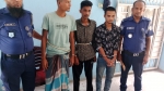 নেছারাবাদে সাইবার সুরক্ষা আইনের মামলায় গ্রেপ্তার ২