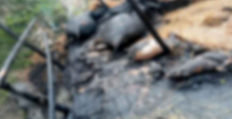 প্রতীকী চিত্র