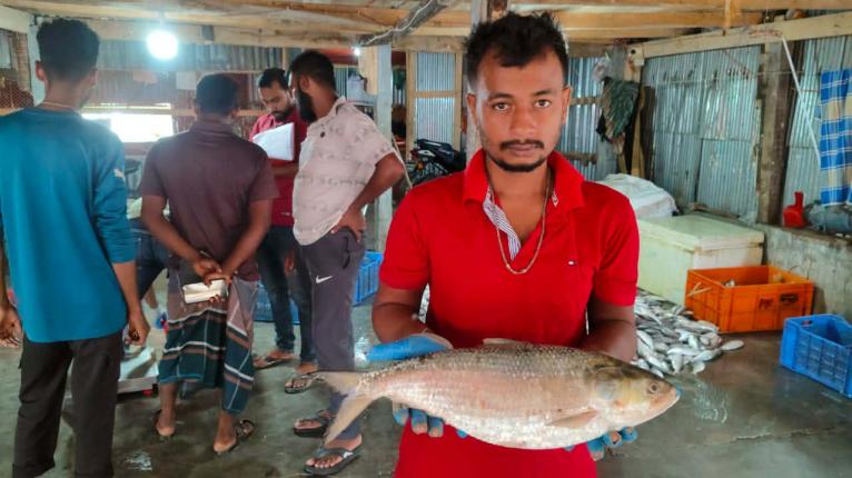 কুয়াকাটায় ২ কেজি ১০০ গ্রামের ইলিশ বিক্রি ৭ হাজার ৬০০ টাকায়