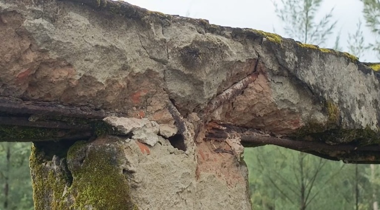 মনপুরার উত্তর সাকুচিয়া মহিলা দাখিল মাদ্রাসার জরাজীর্ণ ও ঝুঁকিপূর্ণ দ্বিতল ভবন।
