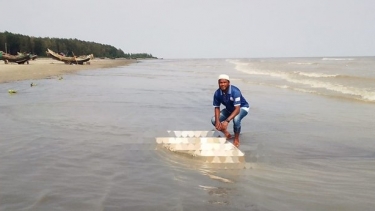 কুয়াকাটায় ৬ ফুটের মৃত বোতলনোজ ডলফিন, শরীরে ক্ষতচিহ্ন