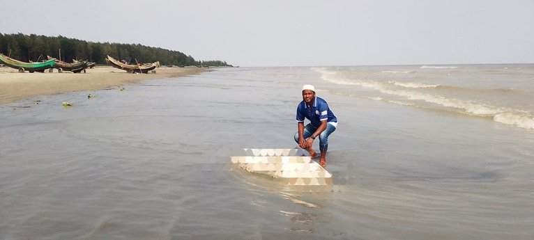 কুয়াকাটায় ৬ ফুটের মৃত বোতলনোজ ডলফিন, শরীরে ক্ষতচিহ্ন
