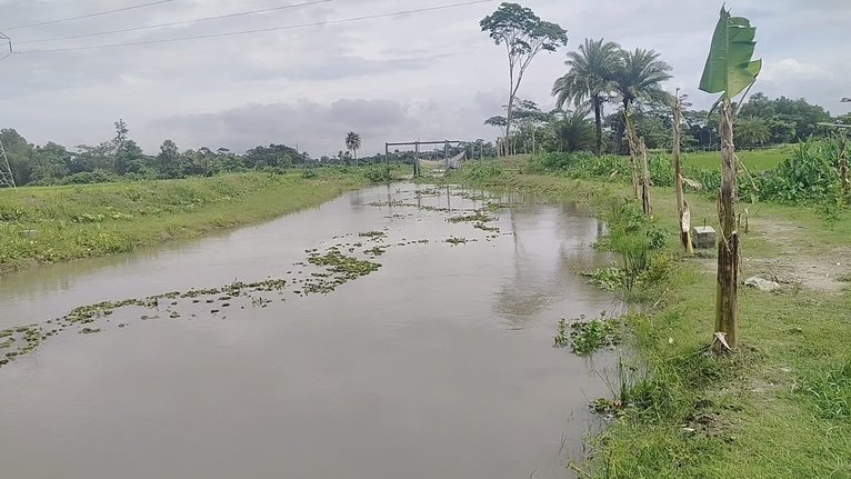 পোনাবালিয়ায় পাঁচ খাল পুনঃখননে স্বস্তিতে কয়েক হাজার কৃষক