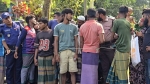 তেঁতুলিয়া নদীতে ইলিশ শিকার, ৮ জেলের কারাদণ্ড