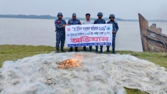 গলাচিপায় নিষেধাজ্ঞা উপেক্ষা করে ইলিশ শিকার, নিয়ন্ত্রণে প্রভাবশালী চক্র