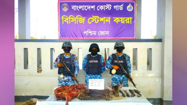 কয়রায় ১৩ কেজি হরিণের মাংস, মাথা-পা ও চামড়া জব্দ