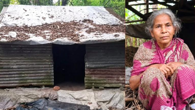 গৌরনদীতে নিঃসন্তান বিধবা কনকের চাওয়া একটু মাথা গোঁজার ঠাঁই