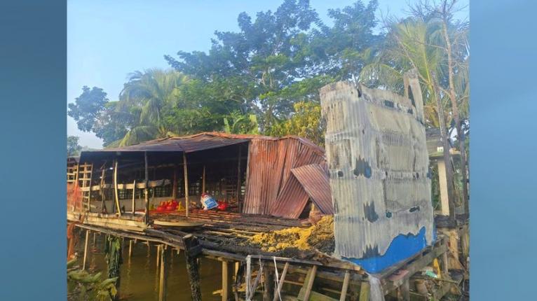 পিরোজপুরে পোল্ট্রি খামারে আগুন, নাশকতার সন্দেহ
