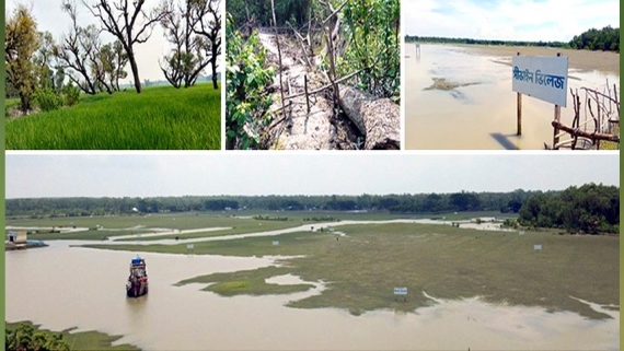 দখল-দূষণে অস্তিত্ব সংকটে গঙ্গামতি সংরক্ষিত বন, ঝুঁকিতে ম্যানগ্রোভ