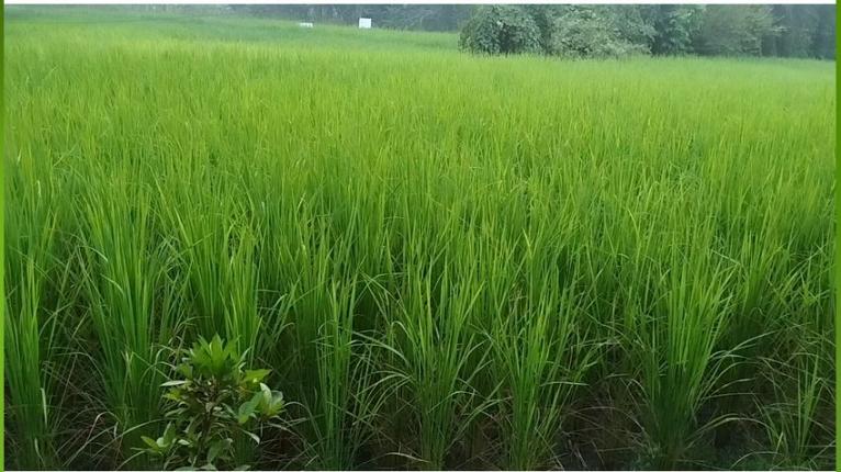 প্রতীকী ছবি