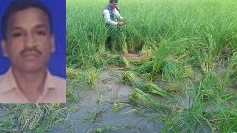 নিখোঁজের এক দিন পর ধানক্ষেতে মিলল কৃষকের মরদেহ