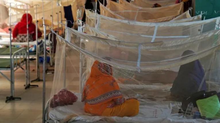 খুলনায় আক্রান্ত হয়ে সাতক্ষীরায় ফিরছেন ডেঙ্গু রোগীরা, ২৪ ঘণ্টায় ভর্তি ২৪