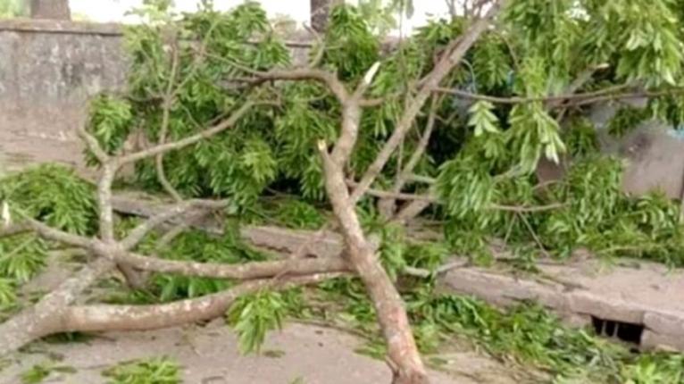 প্রতীকী ছবি