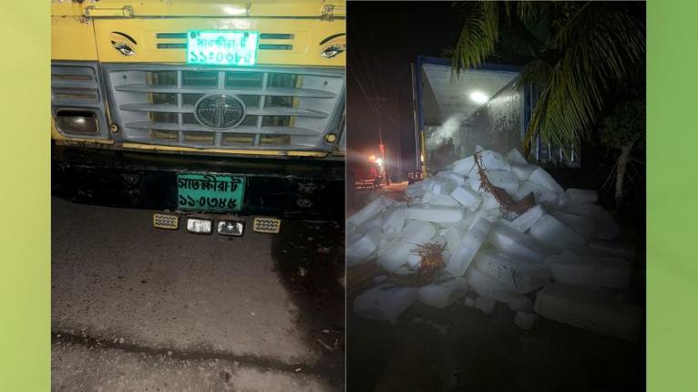 চরফ্যাসনে মা ইলিশ পাচারের অভিযোগ, শতাধিক ট্রলারে বরফ সরবরাহ
