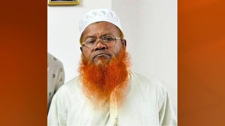 মো. হাফেজ শিকদার। ছবি- সংগৃহীত