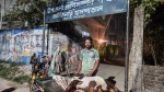 নেছারাবাদে চার গর্ভবতী ছাগলের মৃত্যু, ভুল চিকিৎসার অভিযোগ